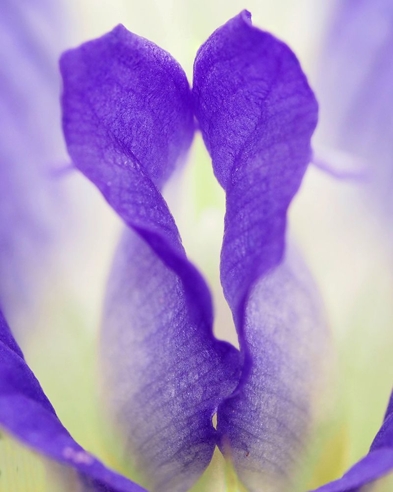 Photograph by Dharmendra Padhiyar