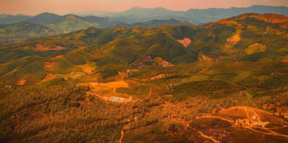 Đỉnh Phượng Hoàng sang thu