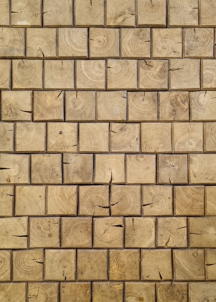 Photograph by Лариса Толкачёва