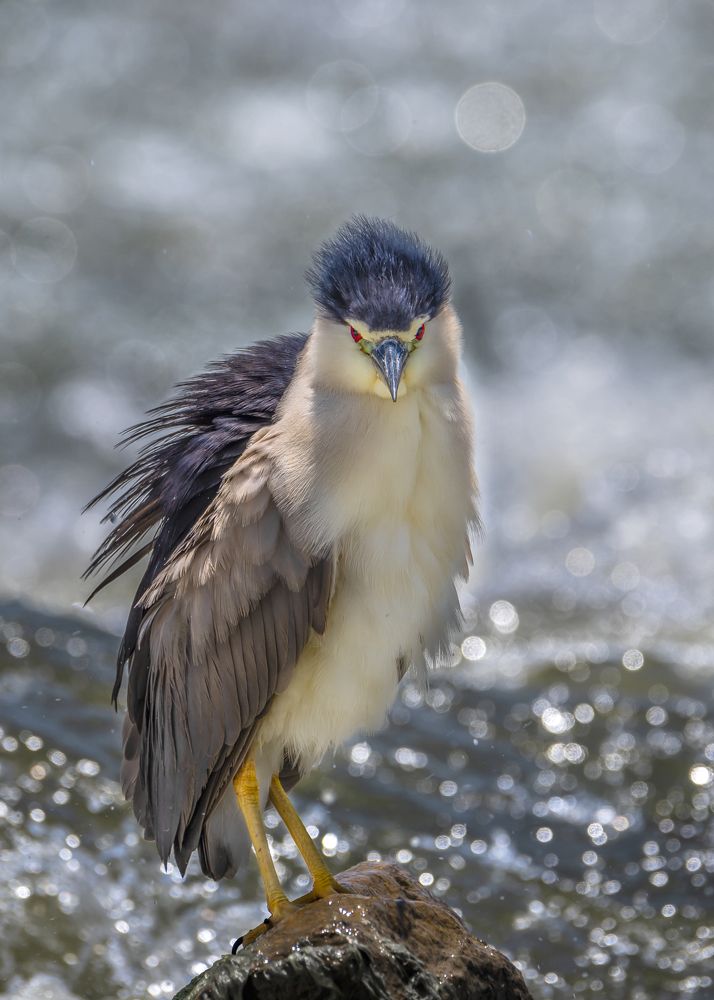 Photograph by Laila Bidah