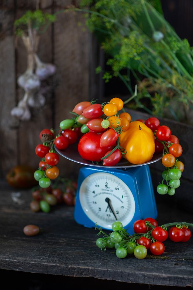 Photograph by Екатерина Лопухова