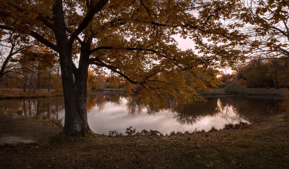 Photograph by Maksim Kasatkin