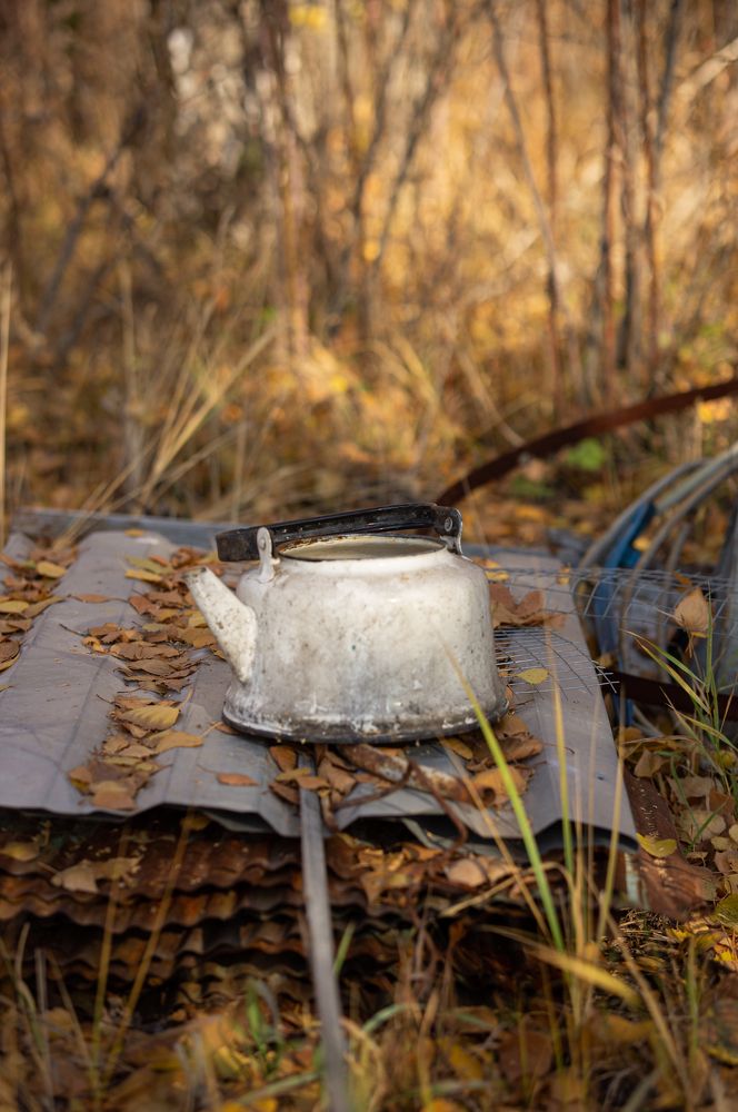 Photograph by Татьяна Бокарева