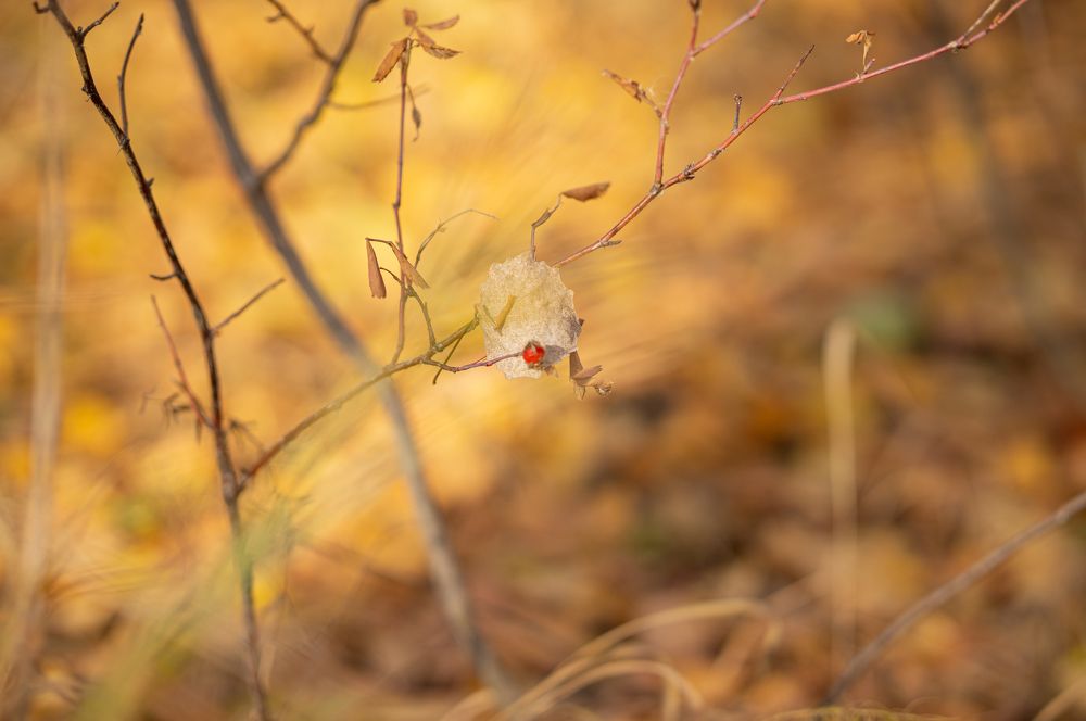 Photograph by Татьяна Бокарева