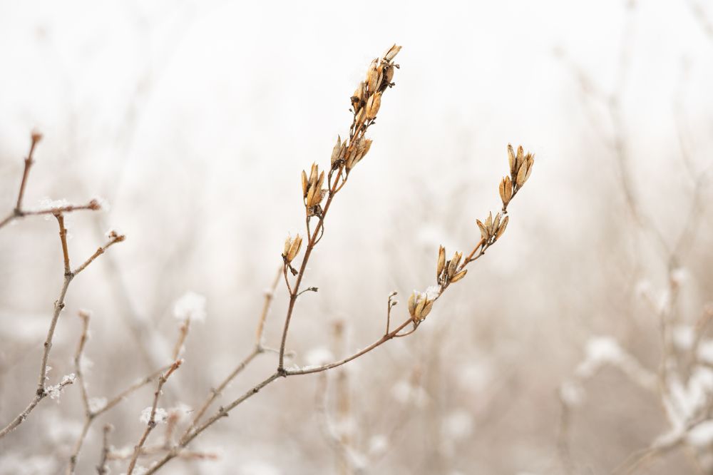 Photograph by Татьяна Бокарева