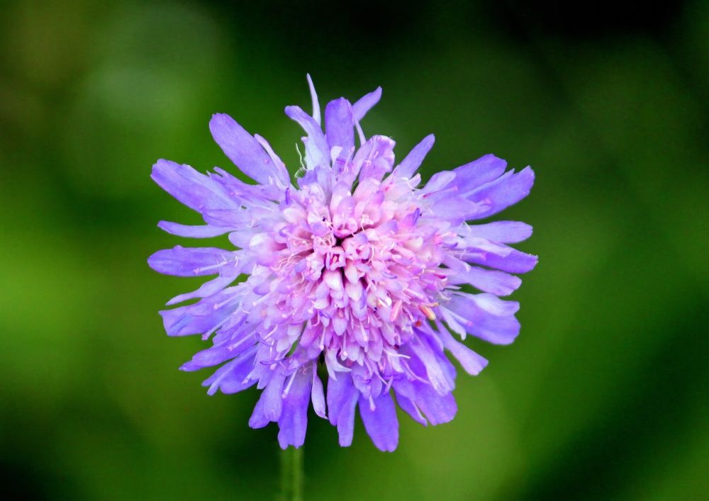 Photograph by Глеб Кузьминых