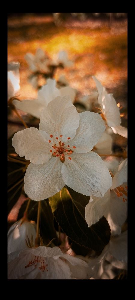 Photograph by Валентин Волк