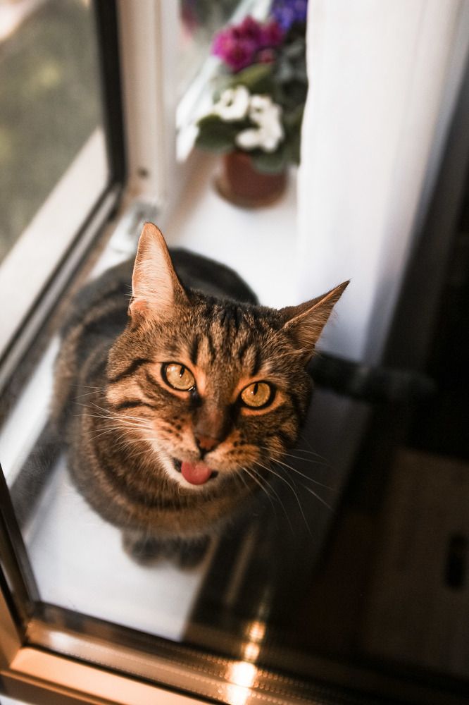 Photograph by Катя Цвет