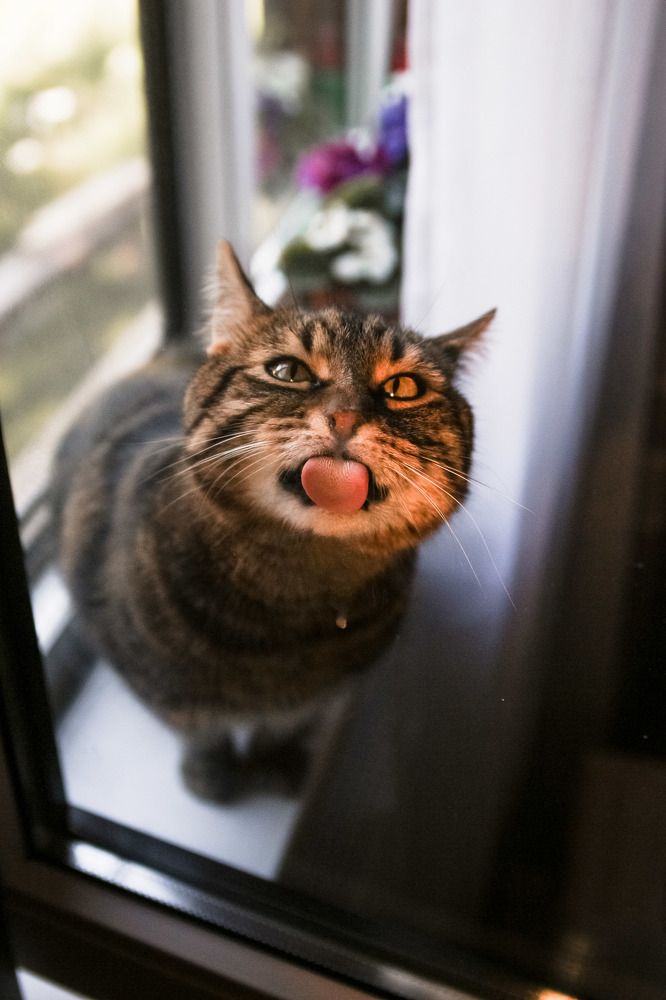 Photograph by Катя Цвет