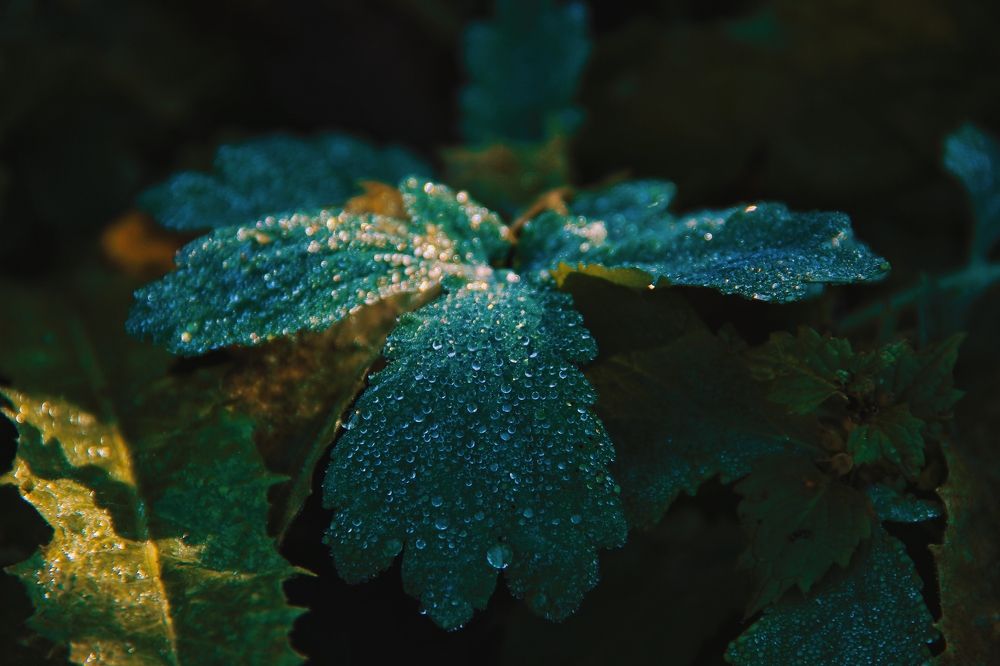 Photograph by Анна Любимова