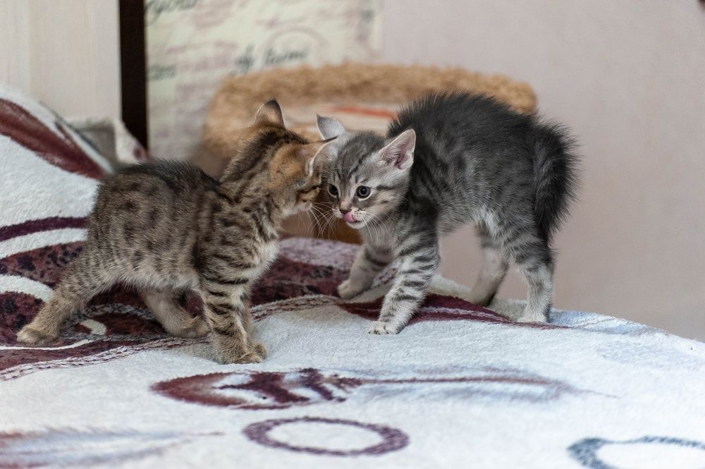 Photograph by Вадим Басов