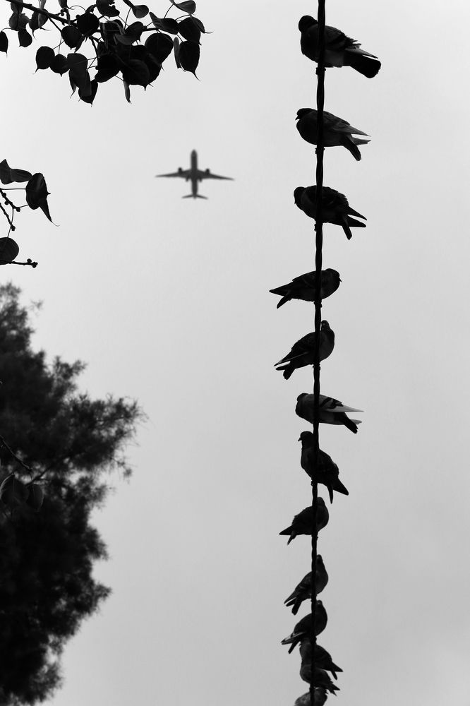 Photograph by Ksenia Sandlerski