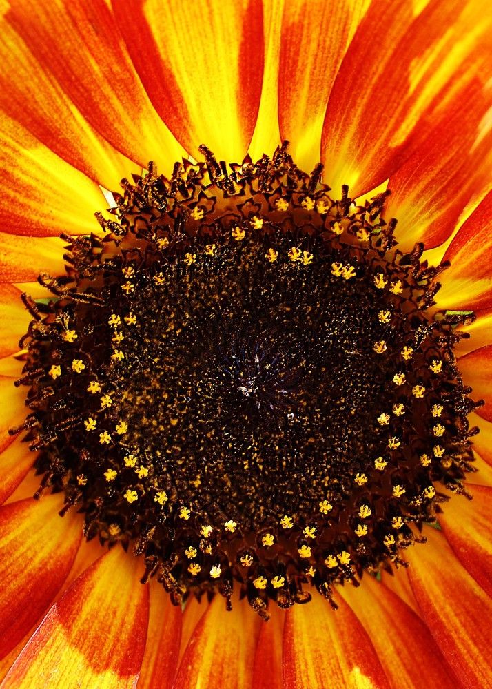 Photograph by Дарья Колесниченко