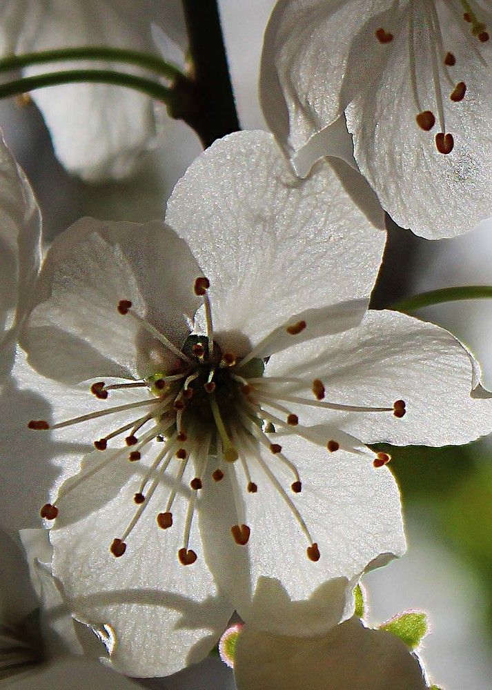 Photograph by Дарья Колесниченко