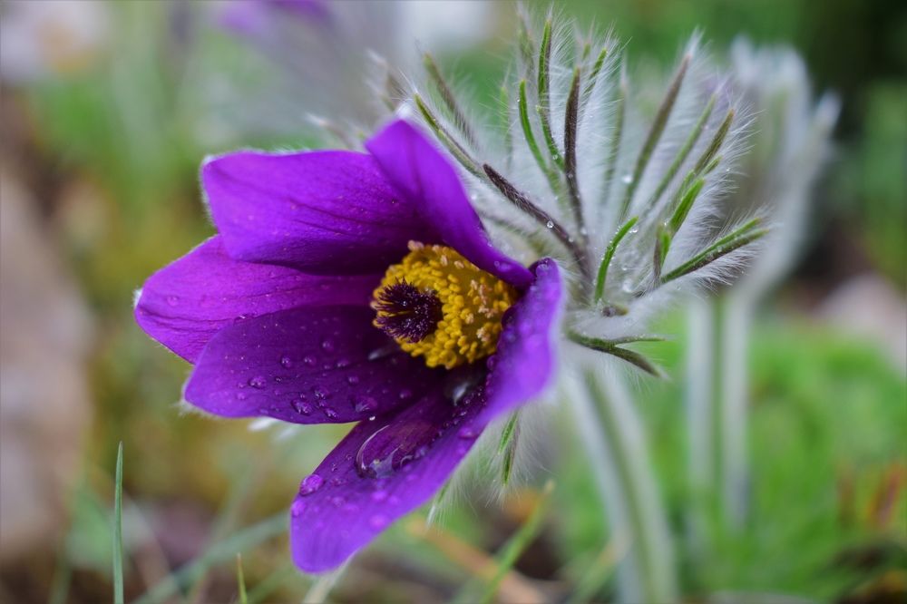 Photograph by Олег Лебедев