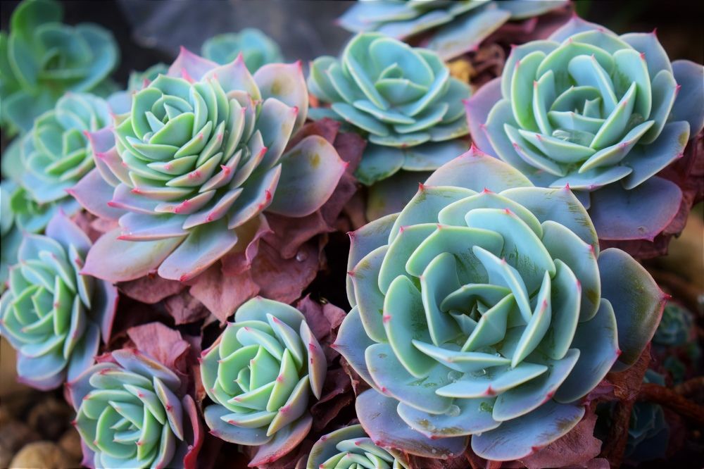 Photograph by Олег Лебедев