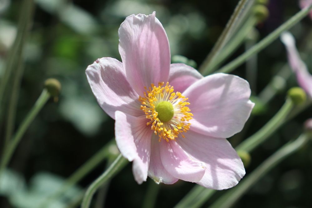 Фотография автора Sonali Mahakal