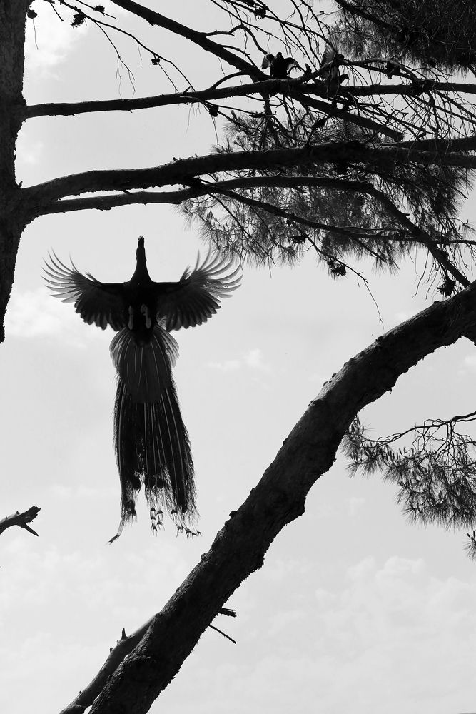 Photograph by Ksenia Sandlerski