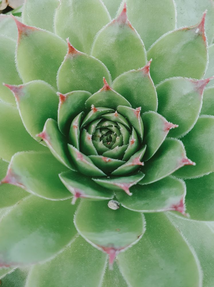 Фотография автора Belmin Becirspahic