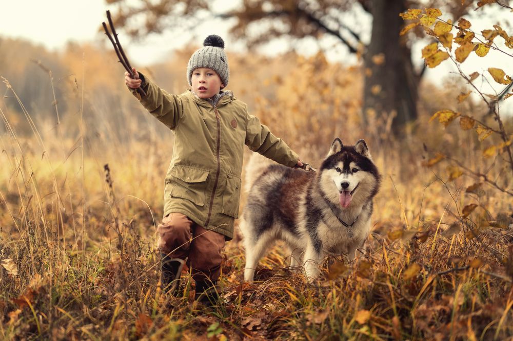 Photograph by Евгения Литовченко