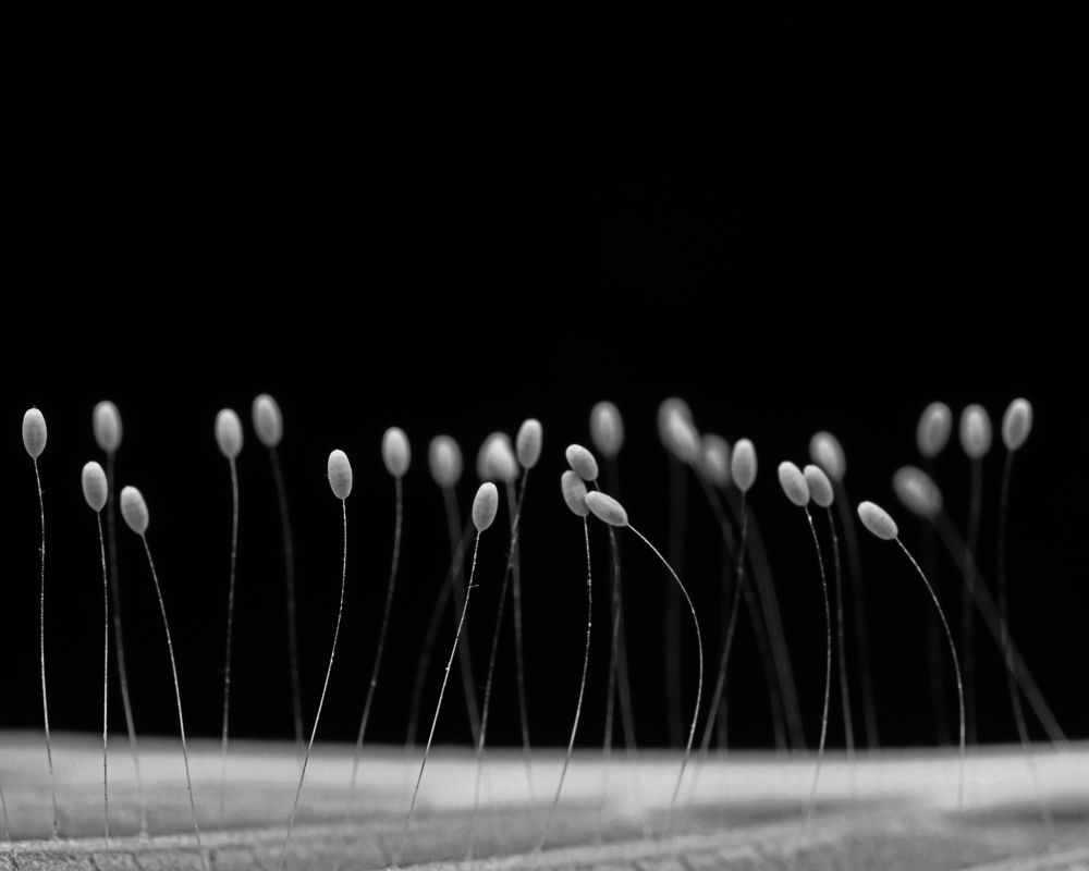 Photograph by Dharmendra Padhiyar