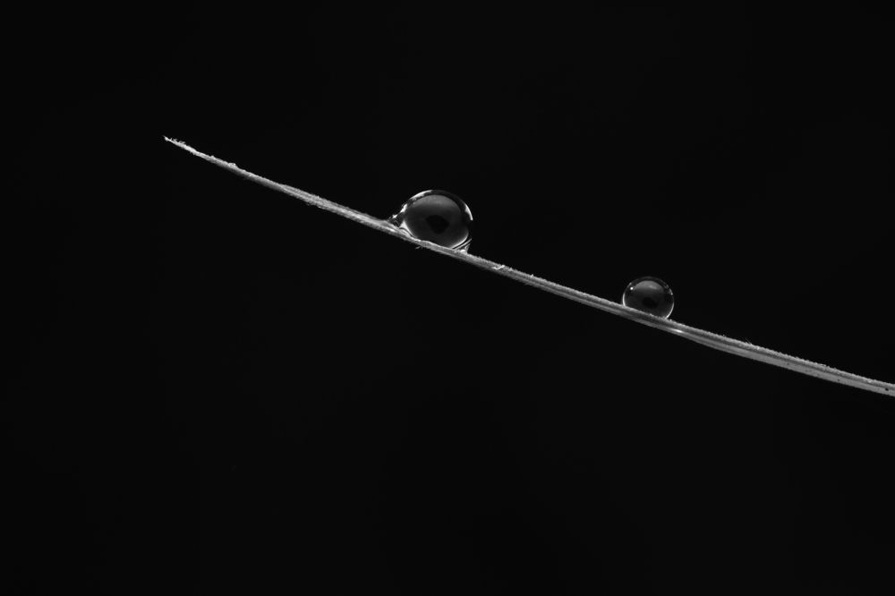 Photograph by Dharmendra Padhiyar