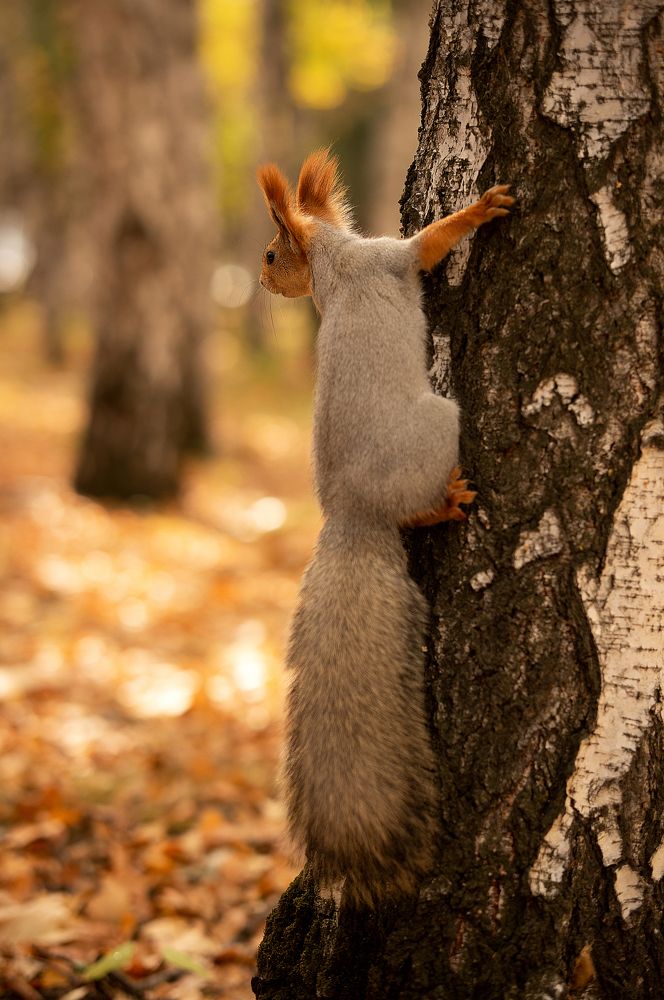 Photograph by Татьяна Бокарева