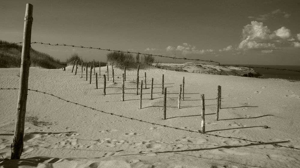 Photograph by Ольга Стоун