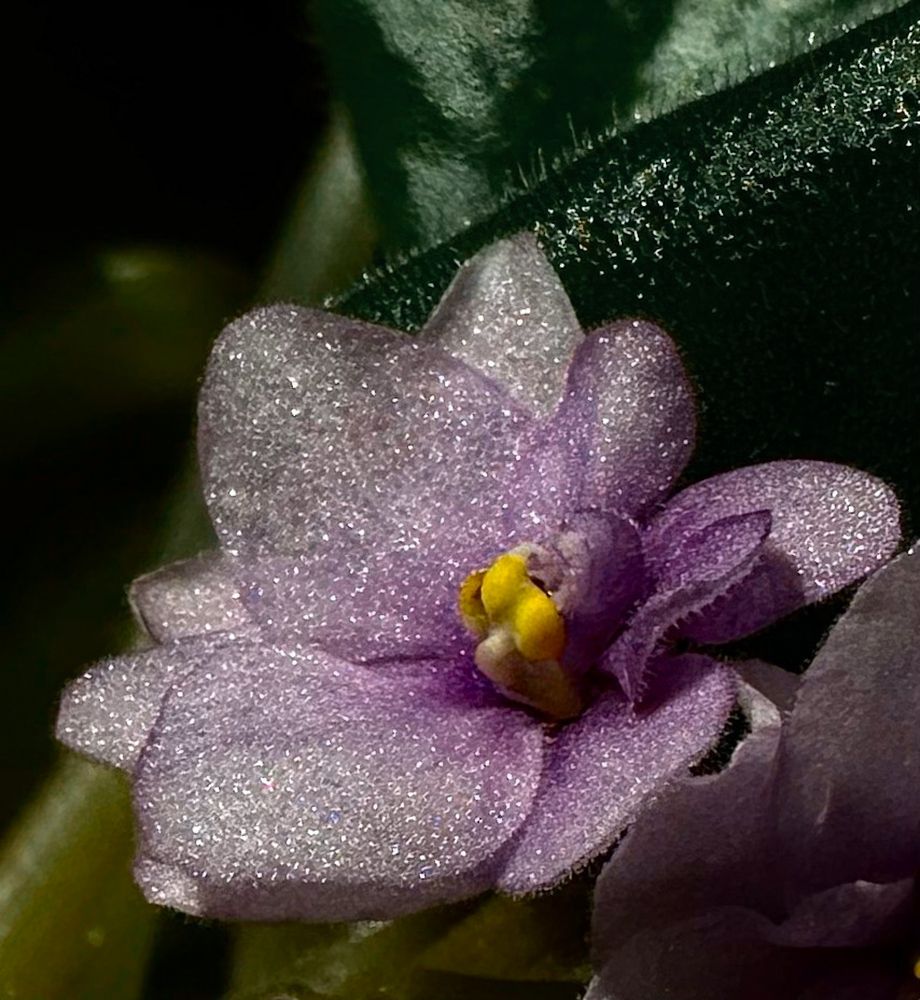 Photograph by Гуляева Светлана