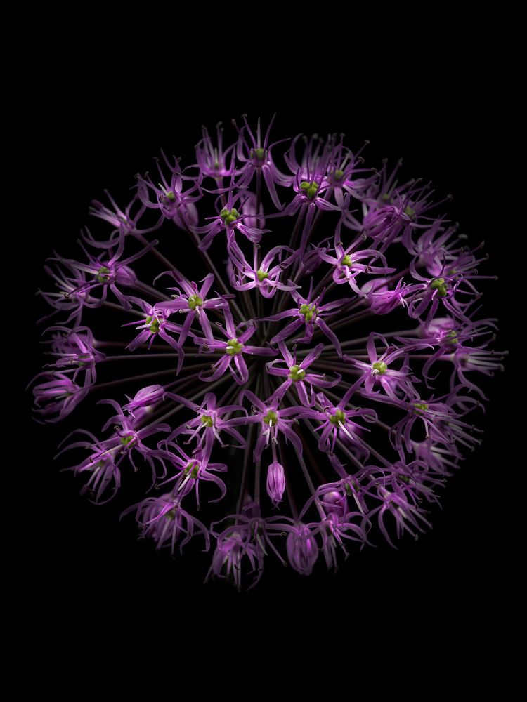 Фотография автора ЯR Ольга