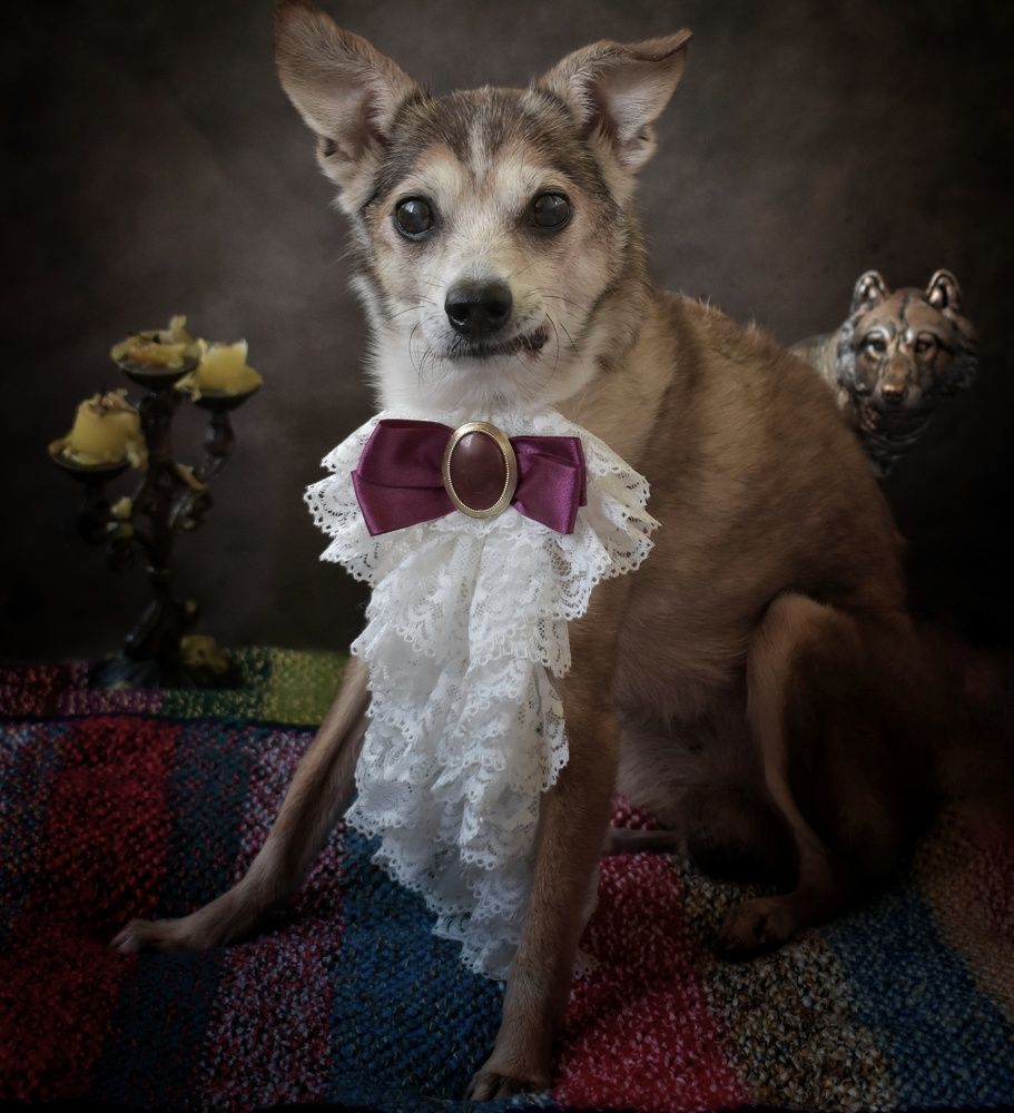 Фотография автора лилия беланова