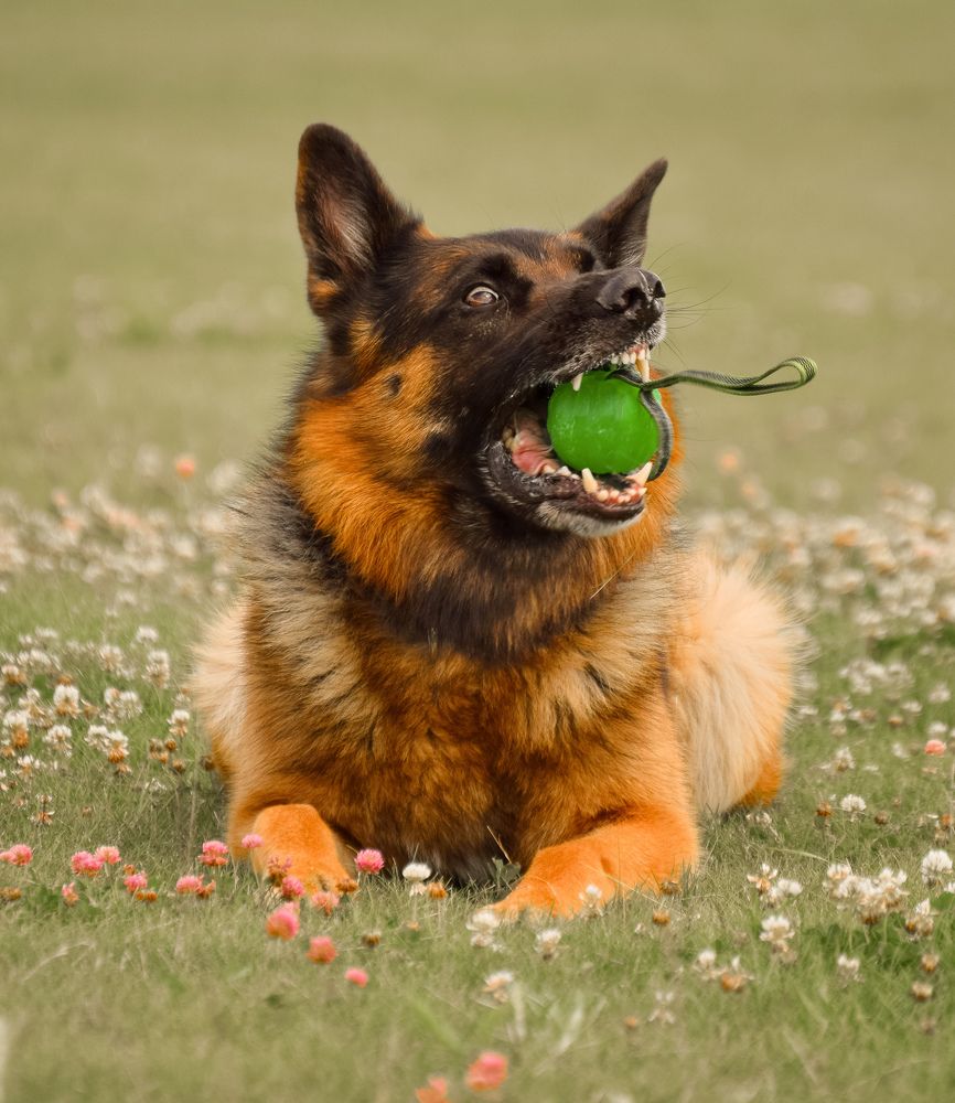 Photograph by Милана Бабченко