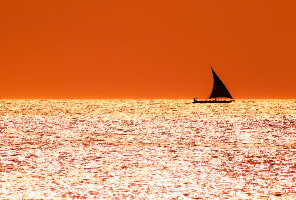 Photograph by wafae koubaa