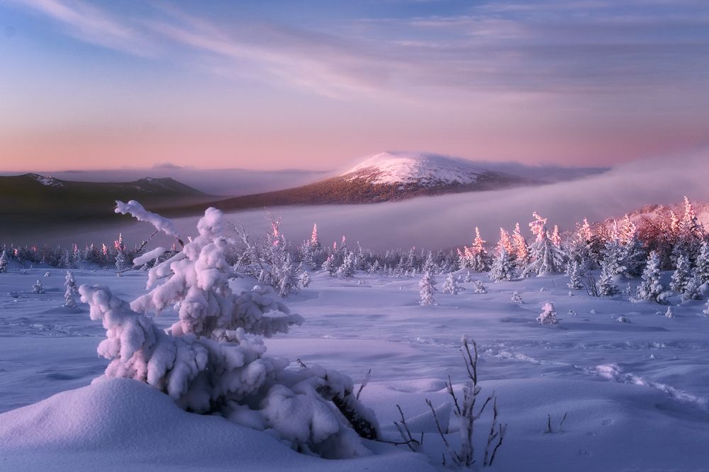 В сиянии утра...