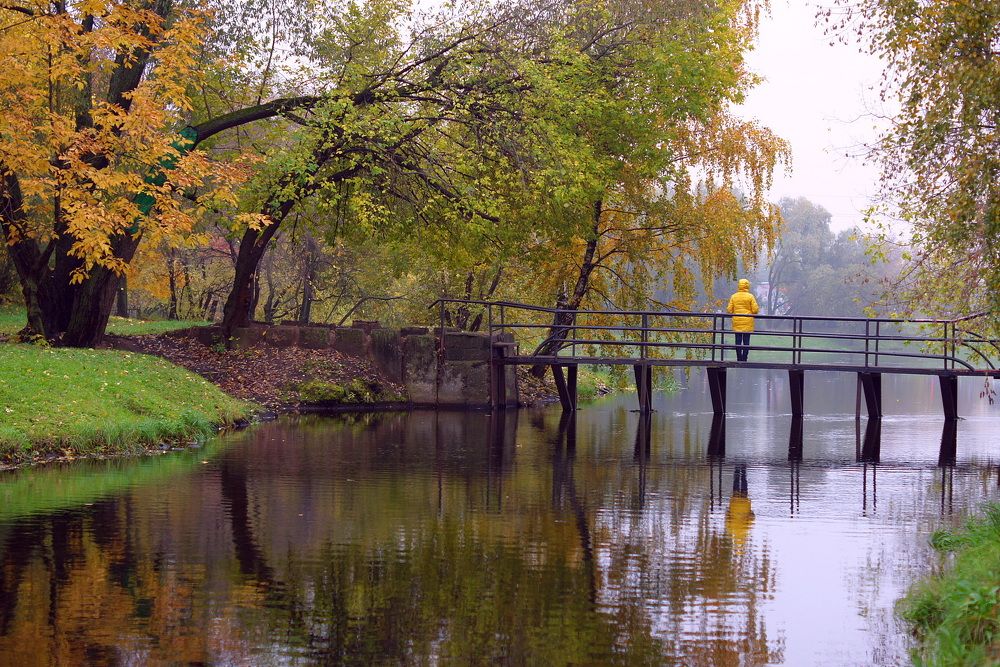 Осень, туман и грусть