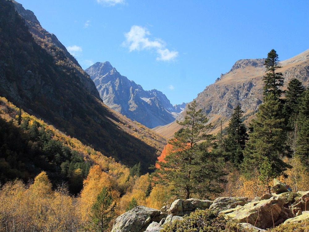 Photograph by Татьяна Долгушева