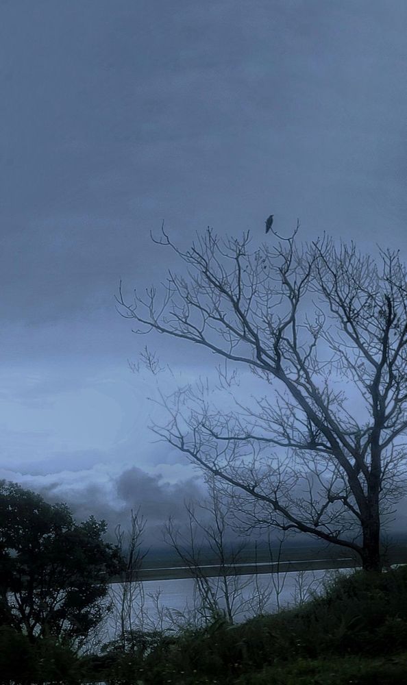 Photograph by Елена Иванова