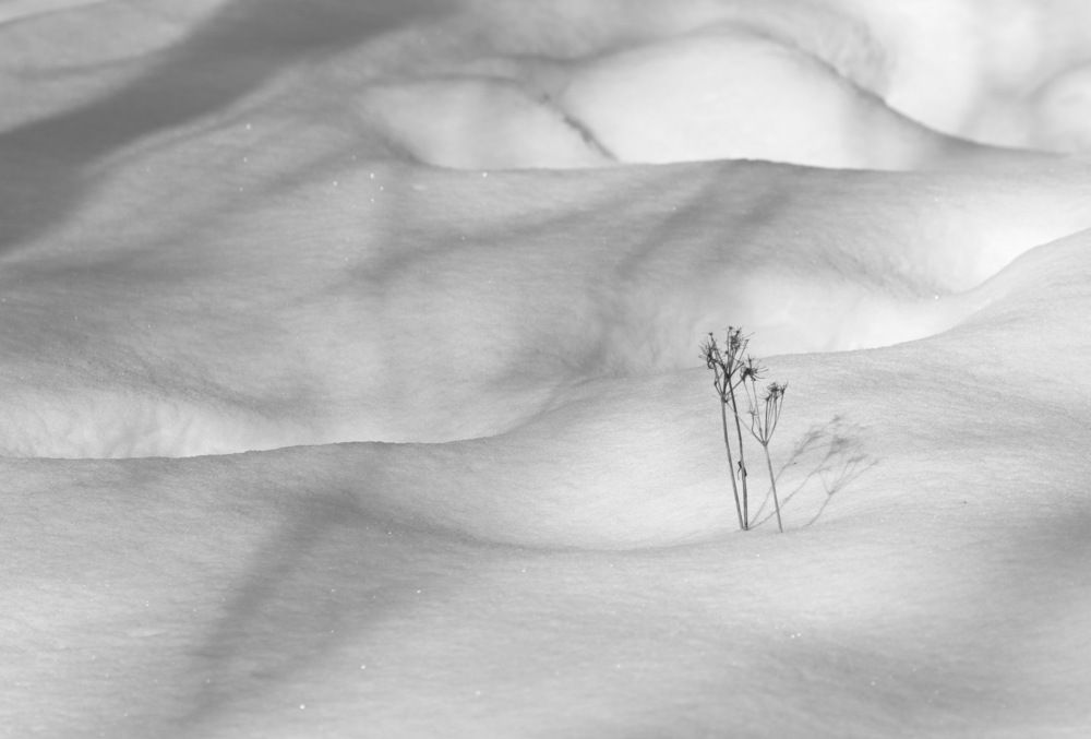 Photograph by Сергей Маслов