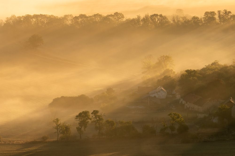 Photograph by Milan Chudoba