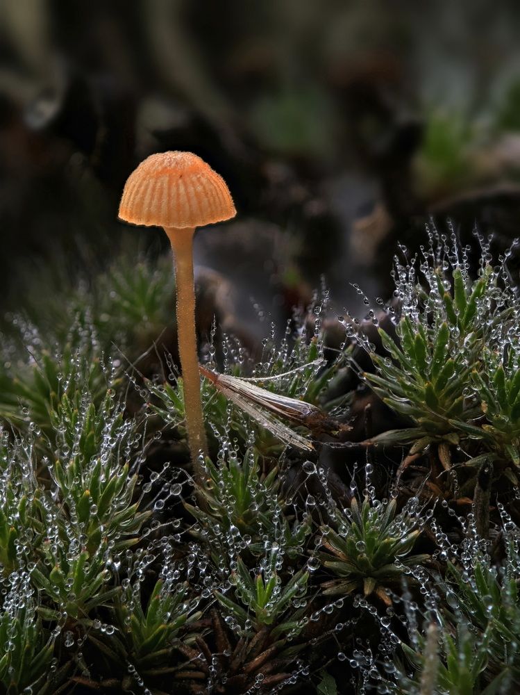 Photograph by Кузнецов Дмитрий