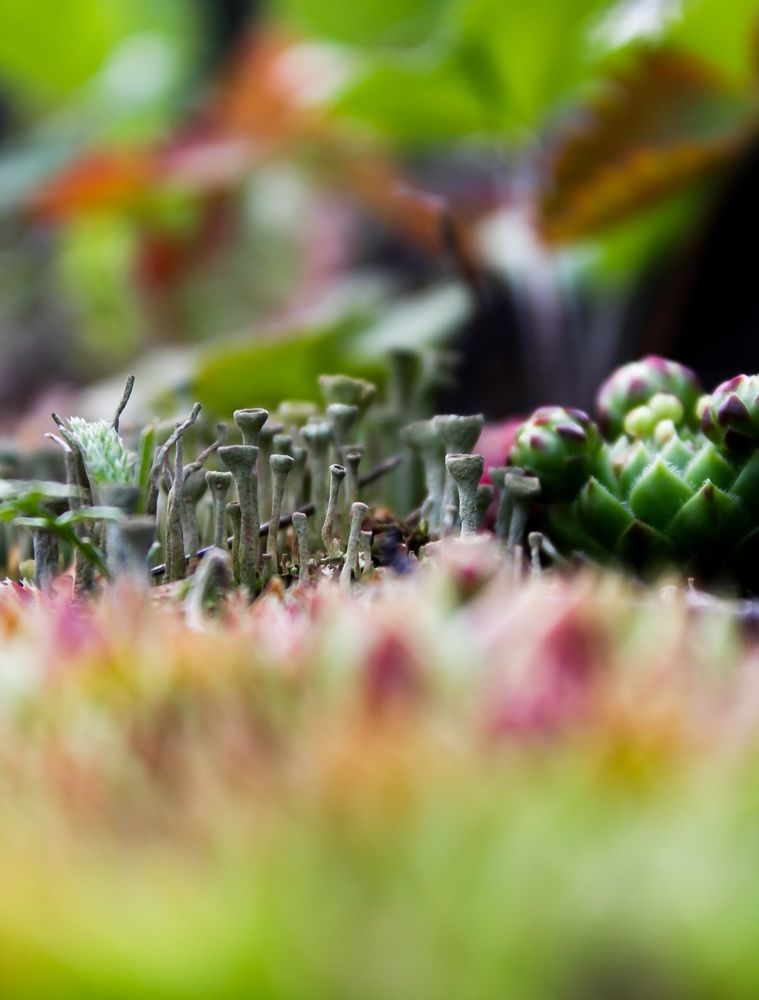 Photograph by МАРИНА