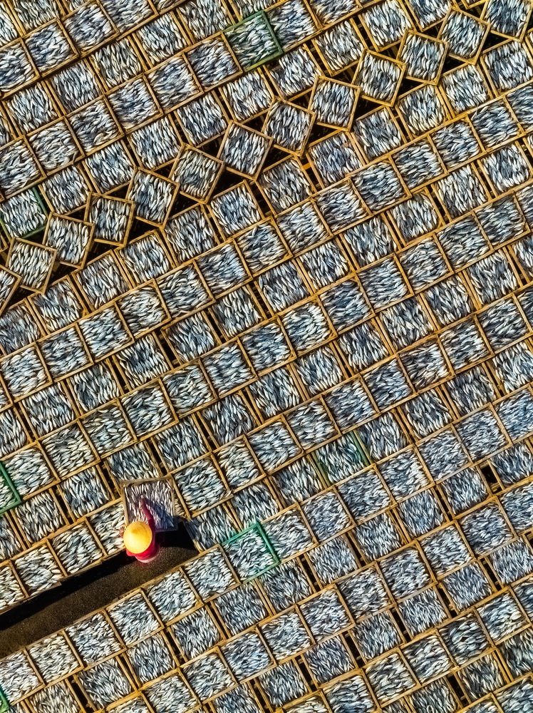 Photograph by Lê Huy Anh