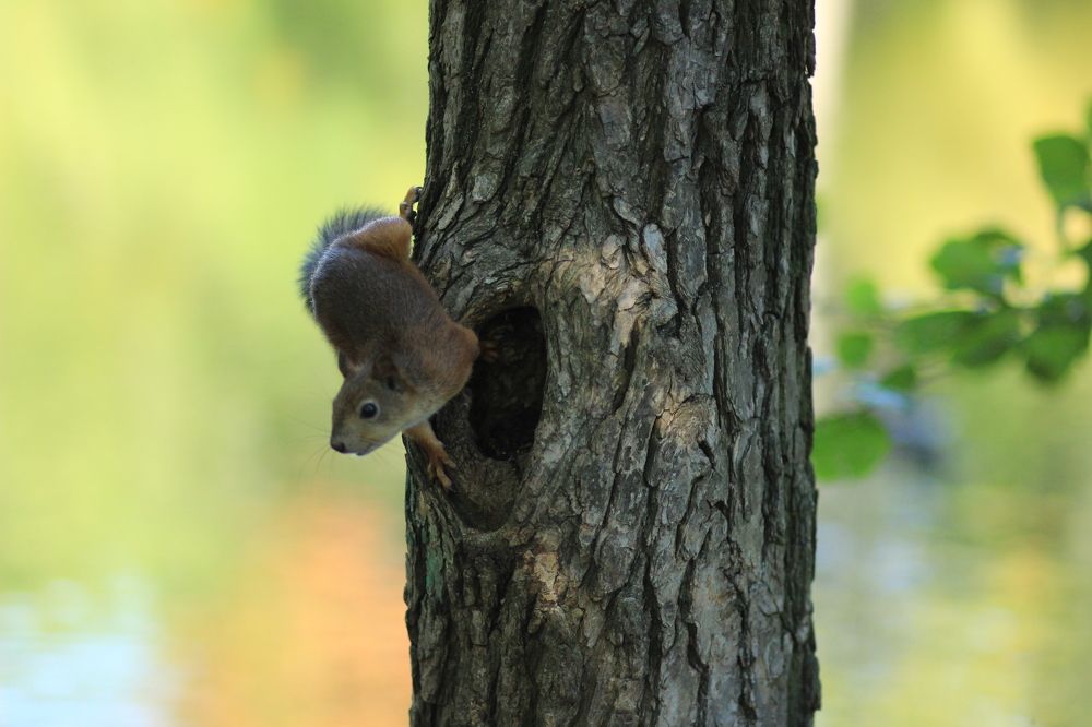 Photograph by Екатерина Филина