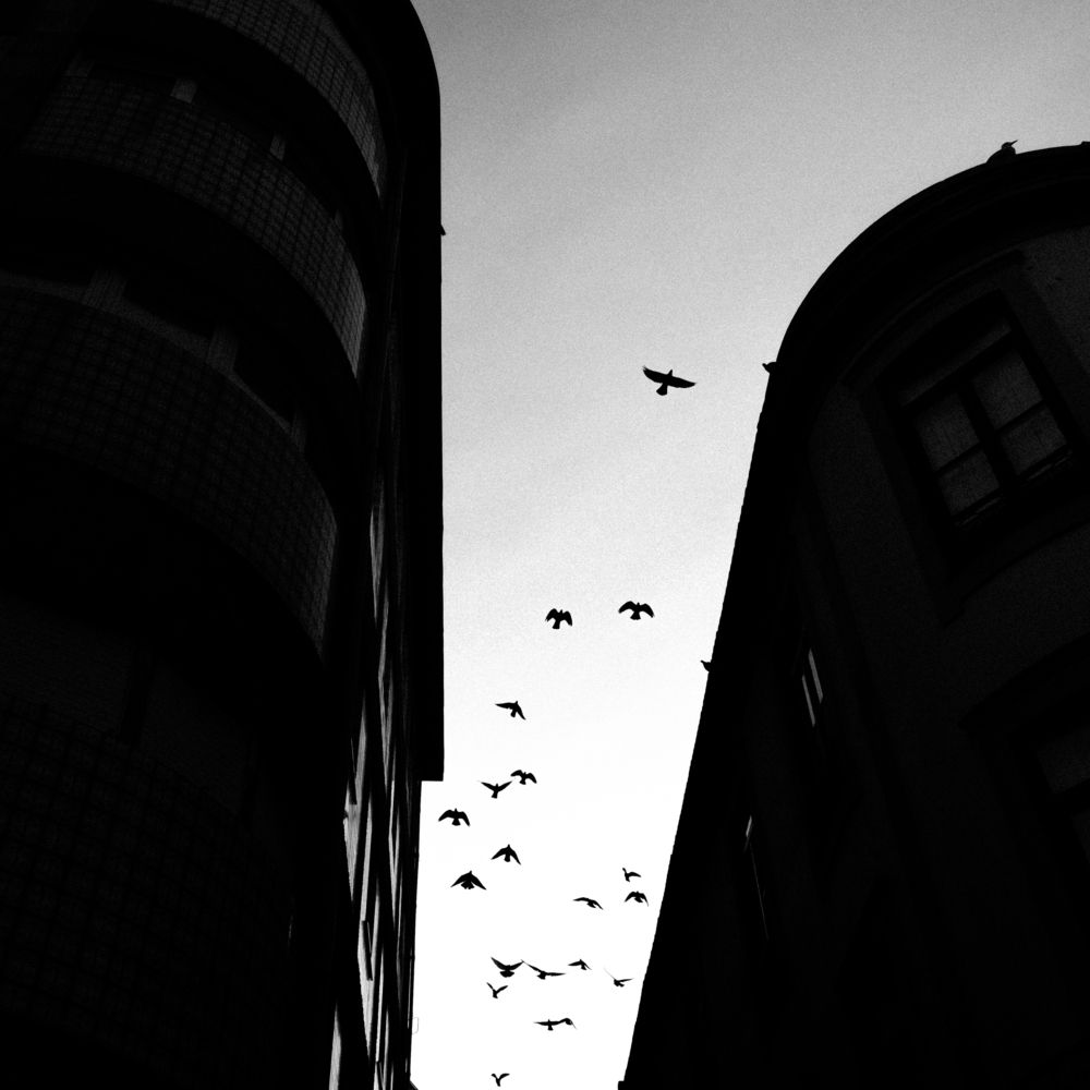 Photograph by José Araújo