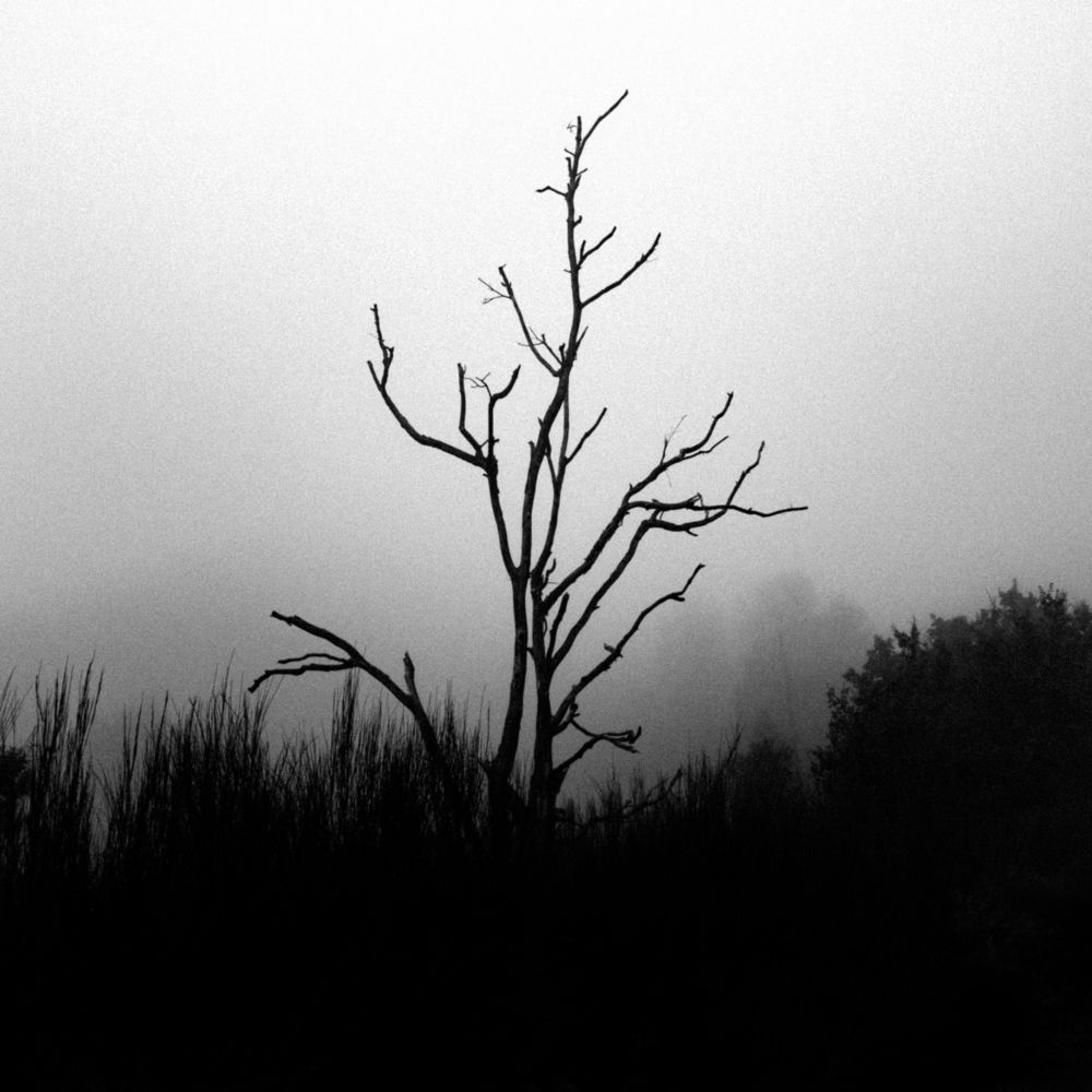 Photograph by José Araújo