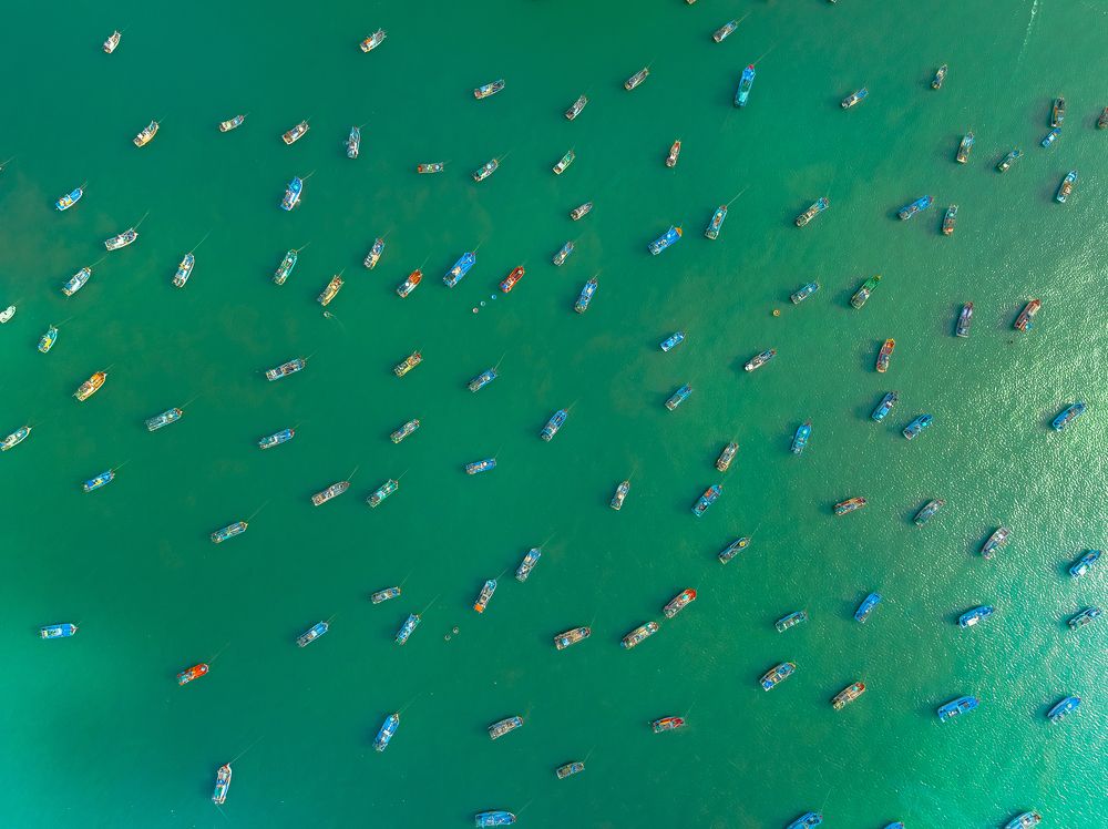 Photograph by Lê Huy Anh