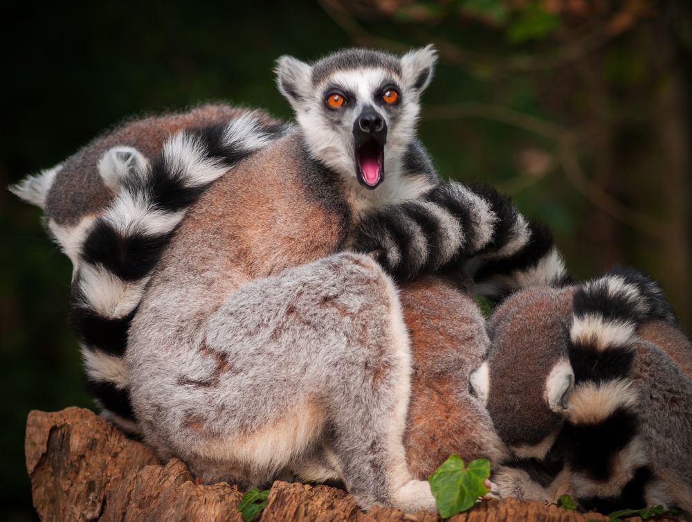 Photograph by Agita Leimane