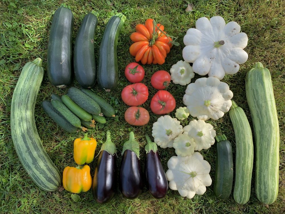 Photograph by Елена Смирнова