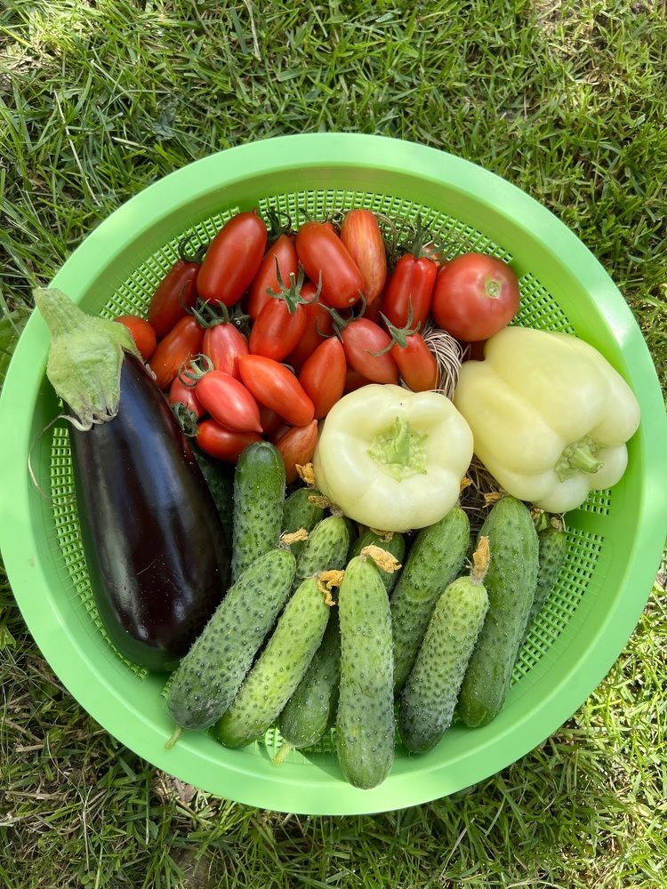 Photograph by Елена Смирнова