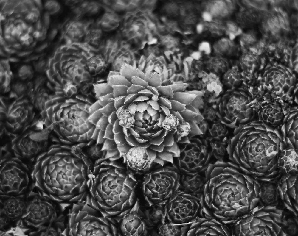 Photograph by МАРИНА